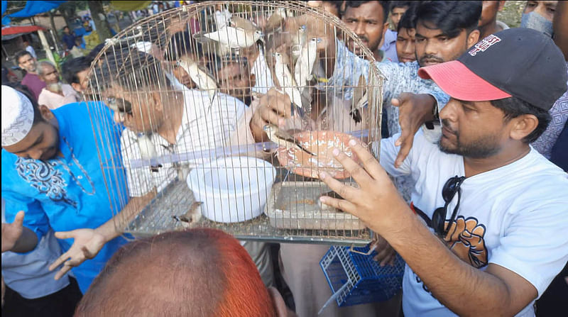 টিয়া, শালিক, ময়নাসহ বিভিন্ন প্রজাতির অর্ধশতাধিক পাখি আকাশে অবমুক্ত করা হয়েছে। আজ শনিবার নীলফামারীর সৈয়দপুর শহরের ঢেলাপীর হাটে